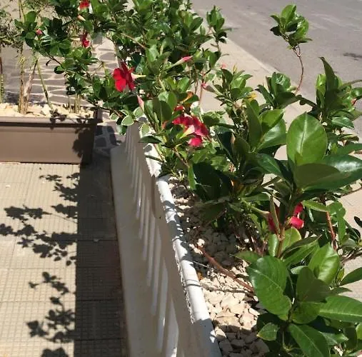 Appartamento La Porta Del Sole *